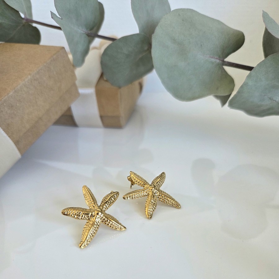 Auskarai Jūros žvaigždė (TMAUS37)