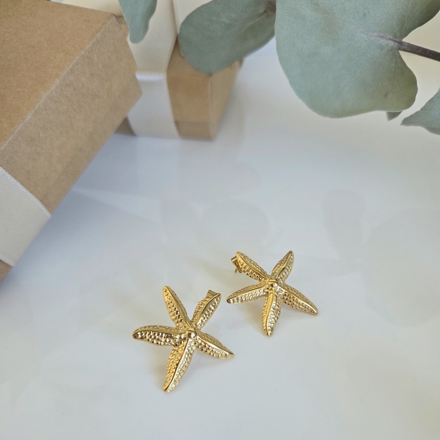 Auskarai Jūros žvaigždė (TMAUS37)