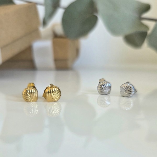 Auskarai Kriauklė (TMAUS24) sidabro spalva