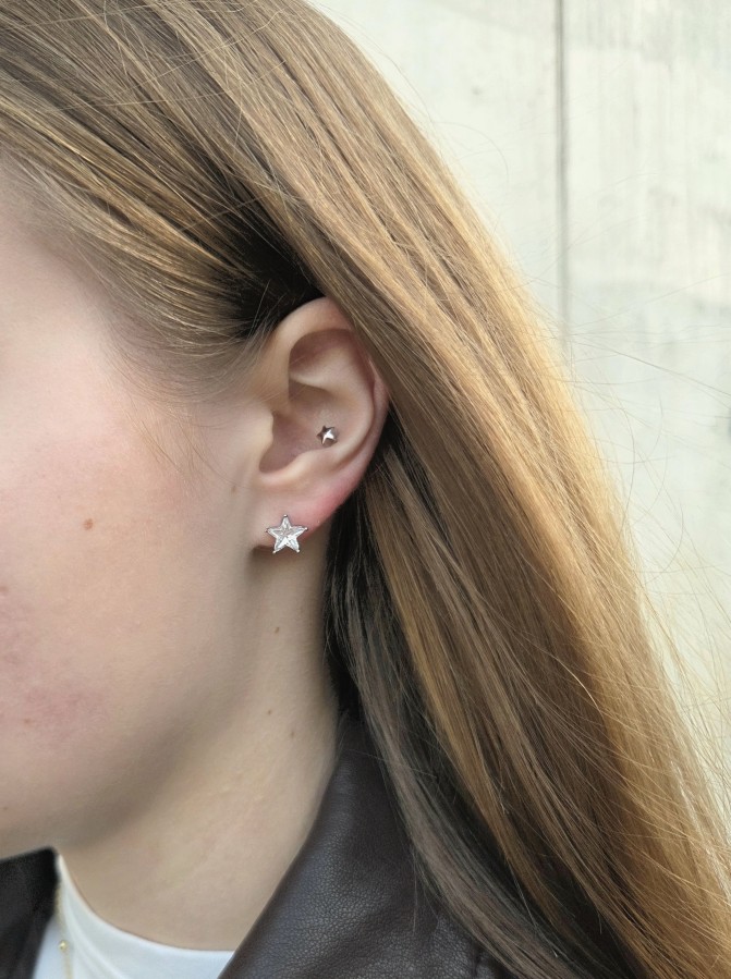 Auskarai Žvaigždutės (TMAUS32) sidabro spalva